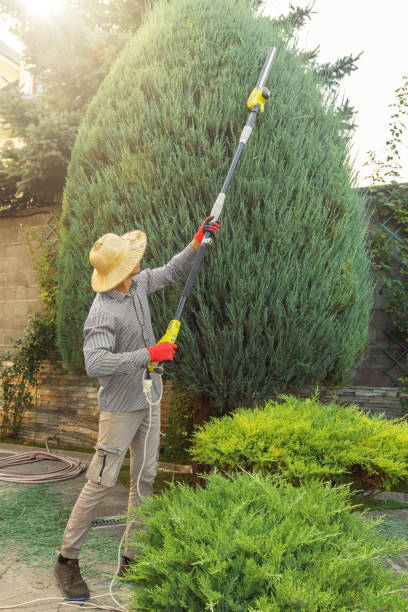 Best Lawn Maintenance Plans  in Kayak Point, WA